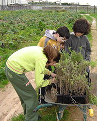 Ver proyectos de medio ambiente